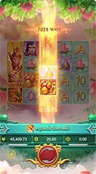 km555 · Lgd Monkey Kg