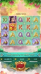 km555 · Lgd Monkey Kg
